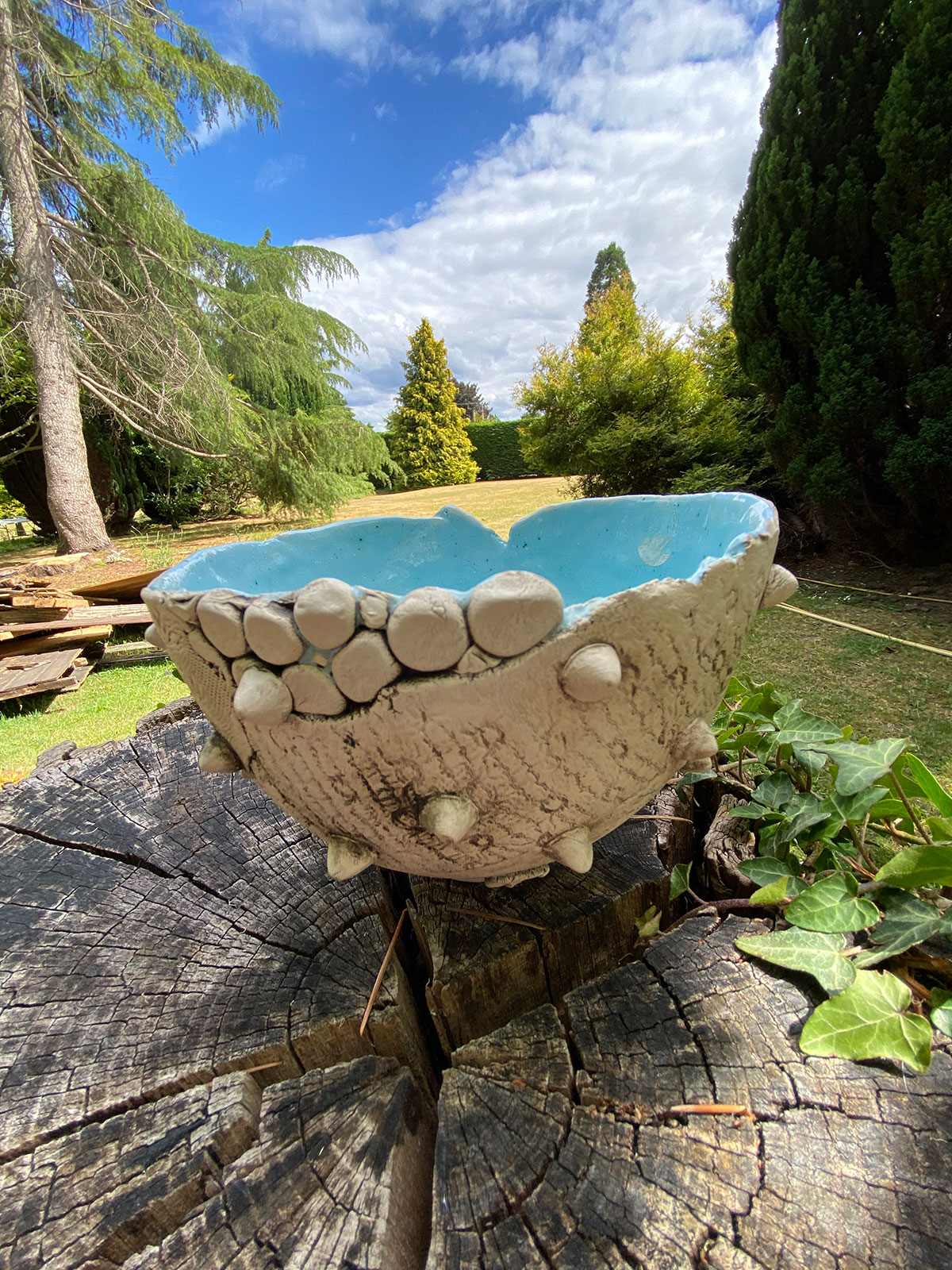 Shelley Maisel Ceramic Bowl