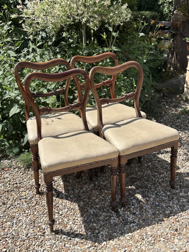 Set of 4 William IV Mahogany Balloon Back Dining Chairs - Image 2