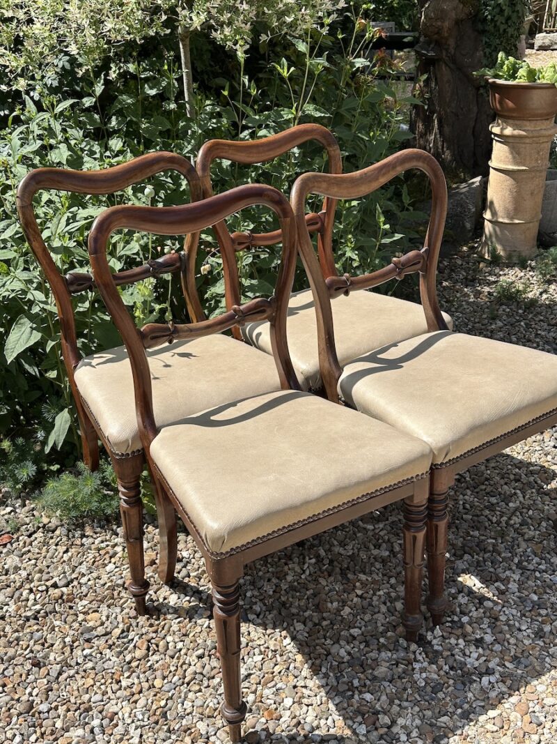 Set of 4 William IV Mahogany Balloon Back Dining Chairs