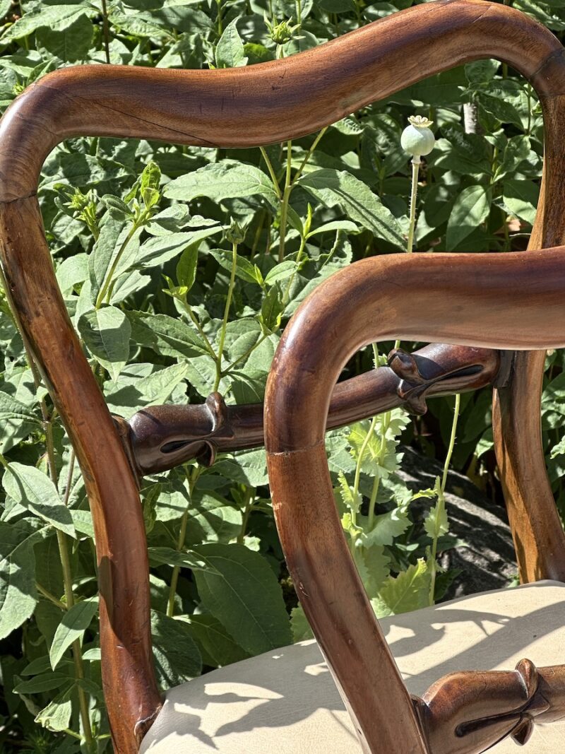 Set of 4 William IV Mahogany Balloon Back Dining Chairs - Image 3