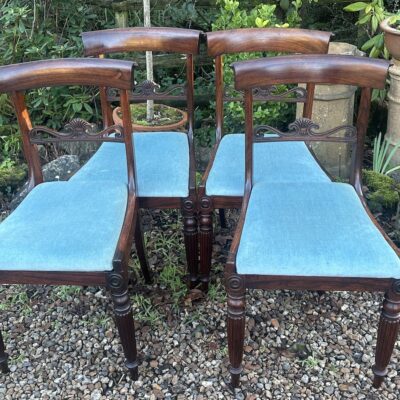 Set of 4 William IV Rosewood Dining Chairs