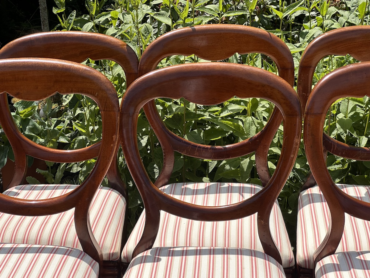 Set of 8 Mahogany Balloon Back Dining Chairs - Image 2