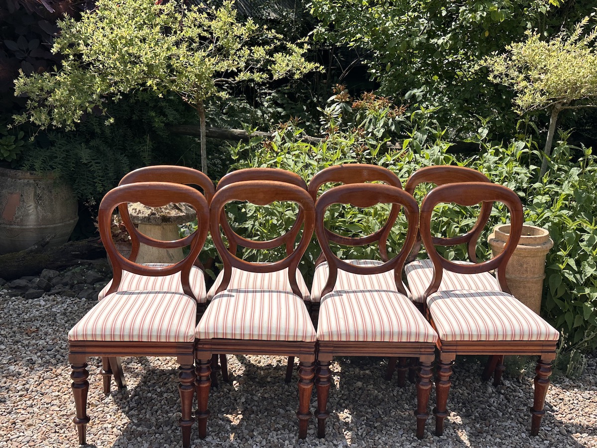 Set of 8 Mahogany Balloon Back Dining Chairs