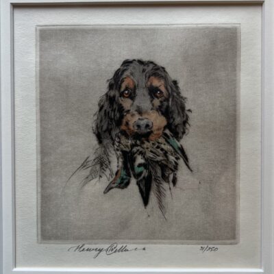 HENRY WILKINSON Original Framed Etching 'Gordon Setter with Bird'